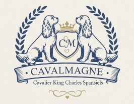 CAVALMAGNE